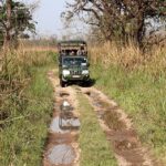 jeep safari